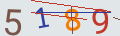 verifycode